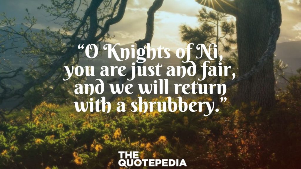 “O Knights of Ni, you are just and fair, and we will return with a shrubbery.”