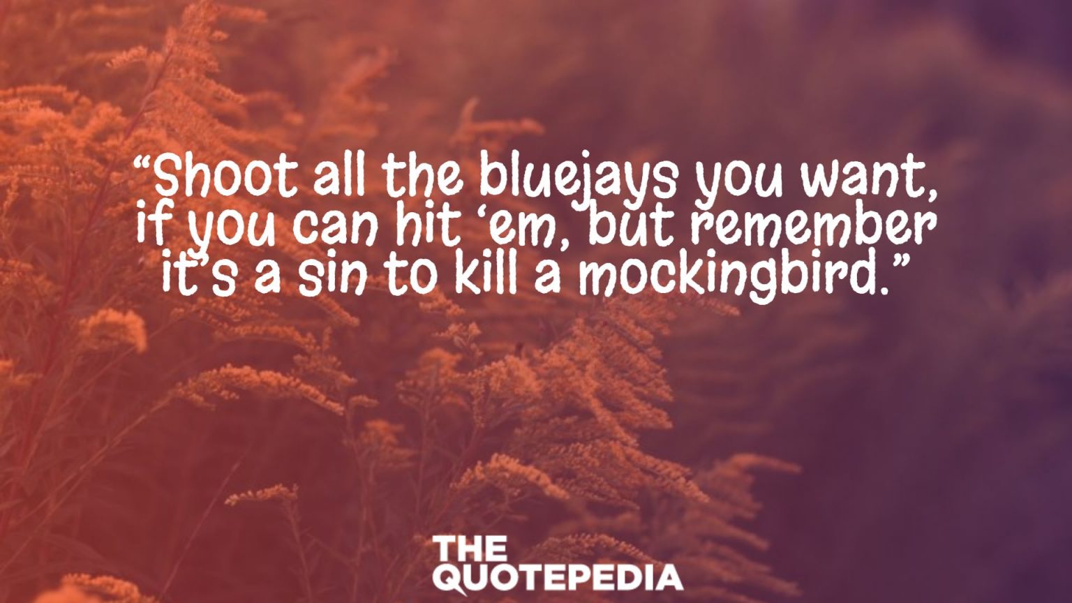 75+ To Kill A Mockingbird Quotes Which Will Make You A Empathetic The QuotePedia