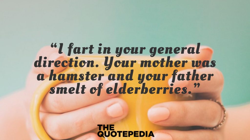 “I fart in your general direction. Your mother was a hamster and your father smelt of elderberries.”