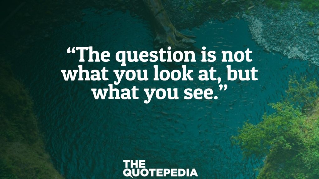 “The question is not what you look at, but what you see.”