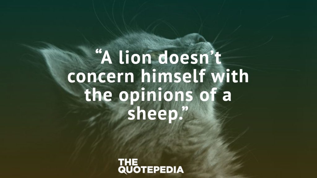 “A lion doesn’t concern himself with the opinions of a sheep.”