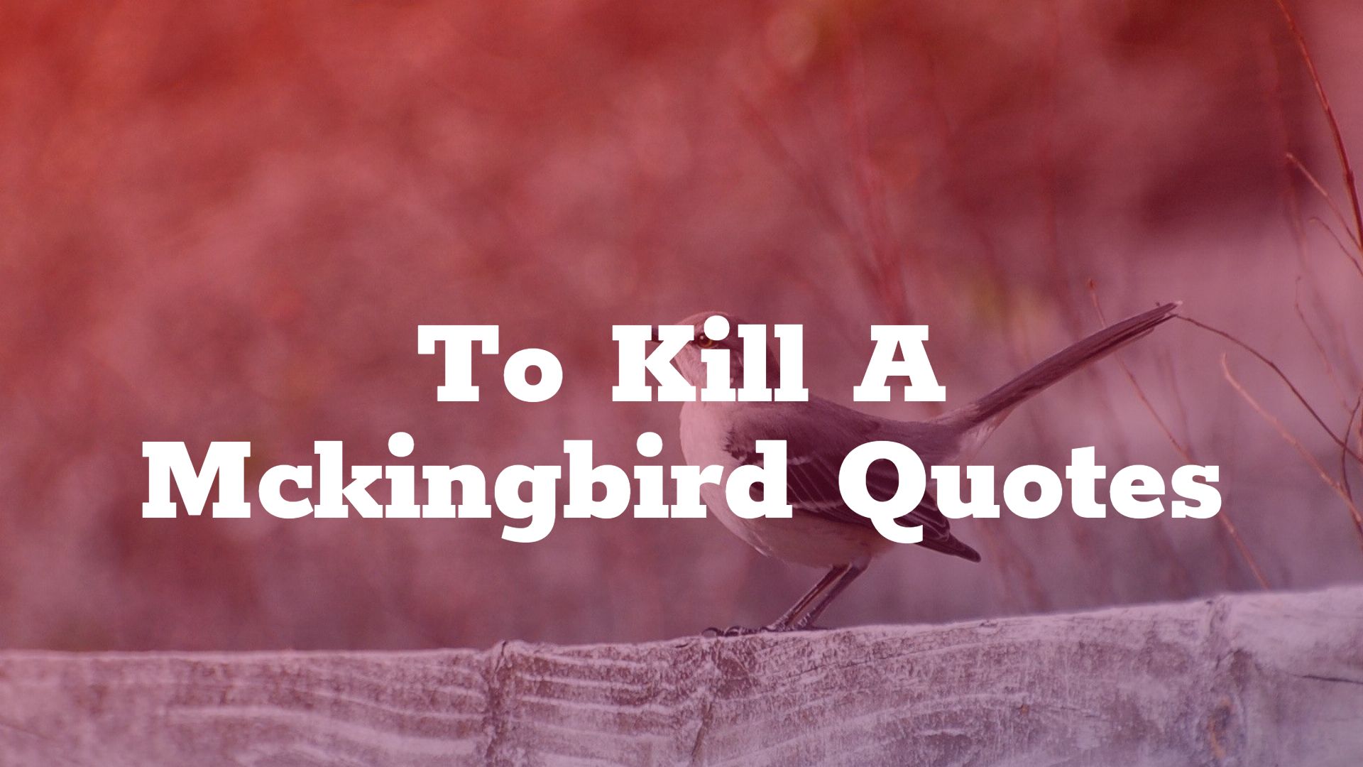To Kill A Mockingbird Quotes