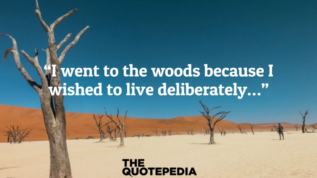 “I went to the woods because I wished to live deliberately…”