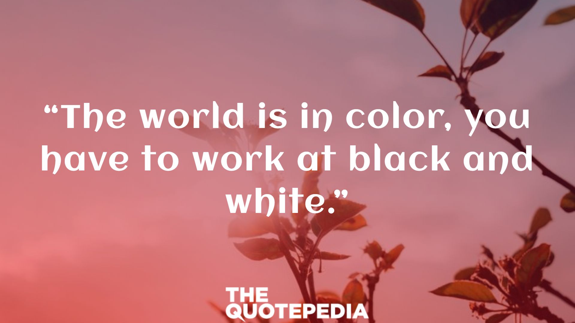 60+ Black And White Quotes To Show Beauty Of Black & White Color - The ...