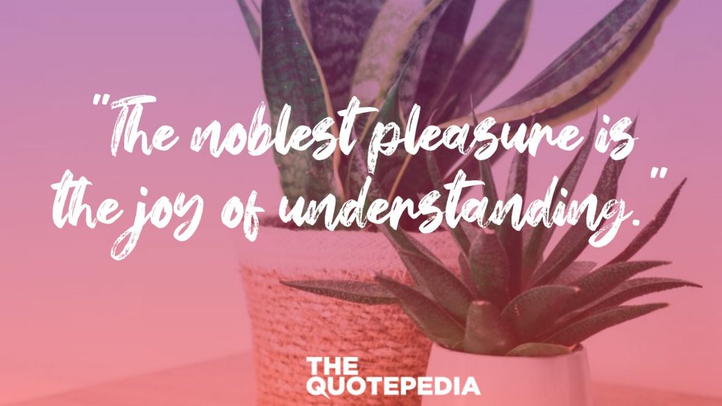"The noblest pleasure is the joy of understanding."