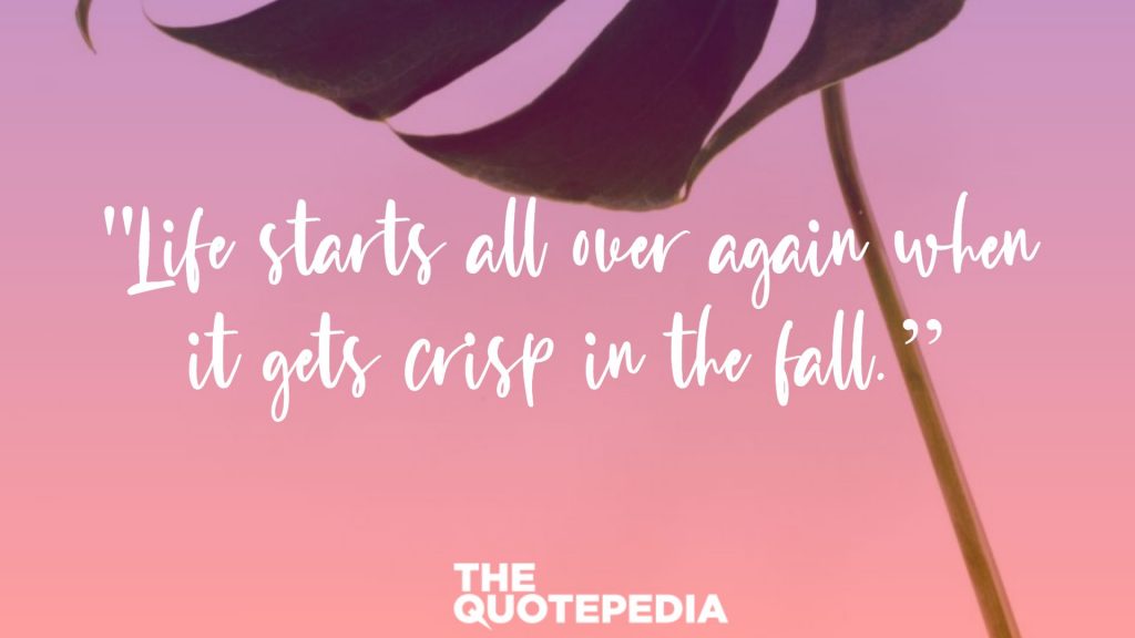 "Life starts all over again when it gets crisp in the fall.”