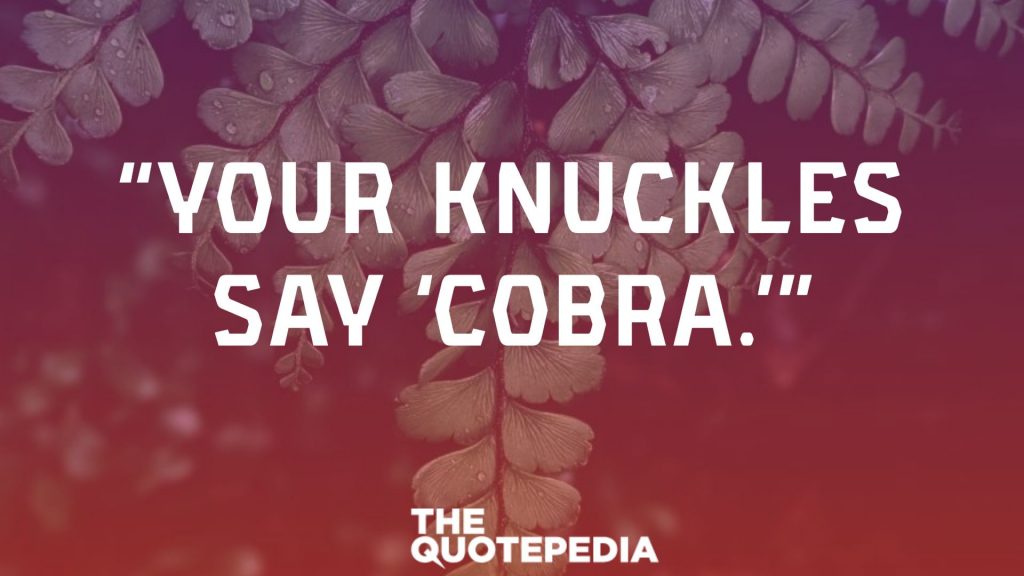 “Your knuckles say ‘Cobra.’”