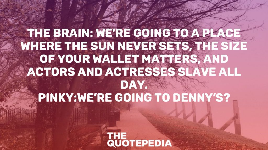 The Brain: We’re going to a place where the sun never sets, the size of your wallet matters, and actors and actresses slave all day. Pinky:We’re going to Denny’s?