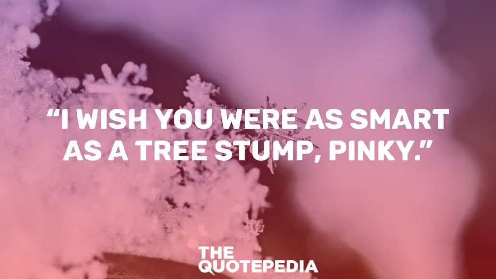 “I wish you were as smart as a tree stump, Pinky.”