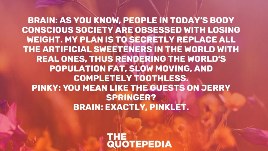 Brain: As you know, people in today’s body conscious society are obsessed with losing weight. My plan is to secretly replace all the artificial sweeteners in the world with real ones, thus rendering the world’s population fat, slow moving, and completely toothless. Pinky: You mean like the guests on Jerry Springer? Brain: Exactly, Pinklet.