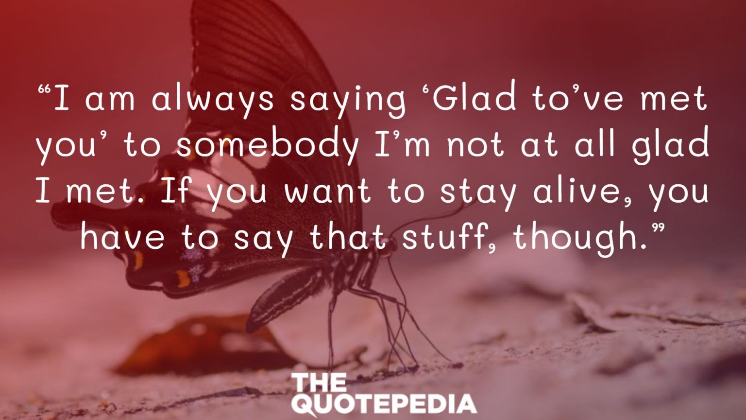 70+ Catcher In The Rye Quotes To Understand Emotions The QuotePedia