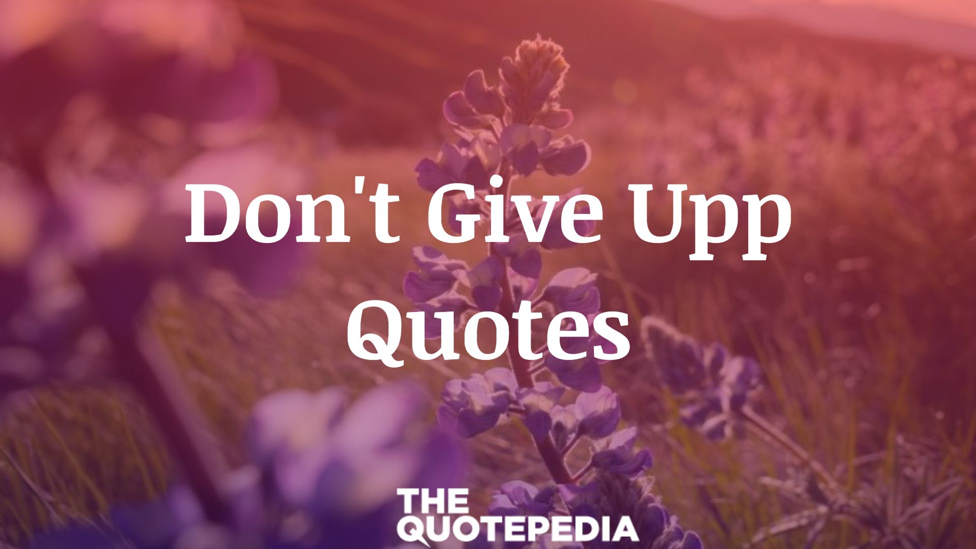 Don't Give Up Quotes