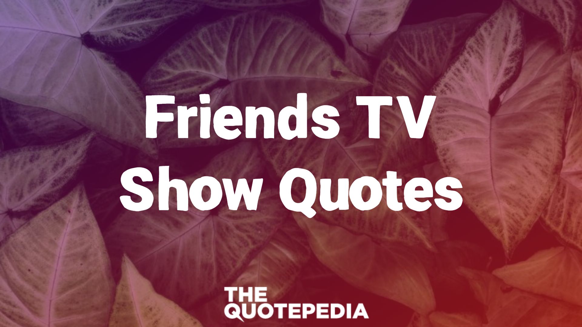 Friends TV Show Quotes