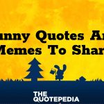 Funny Quotes And Memes To Share