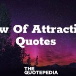 Law Of Attraction Quotes