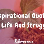 Inspirational Quotes About Life And Struggle
