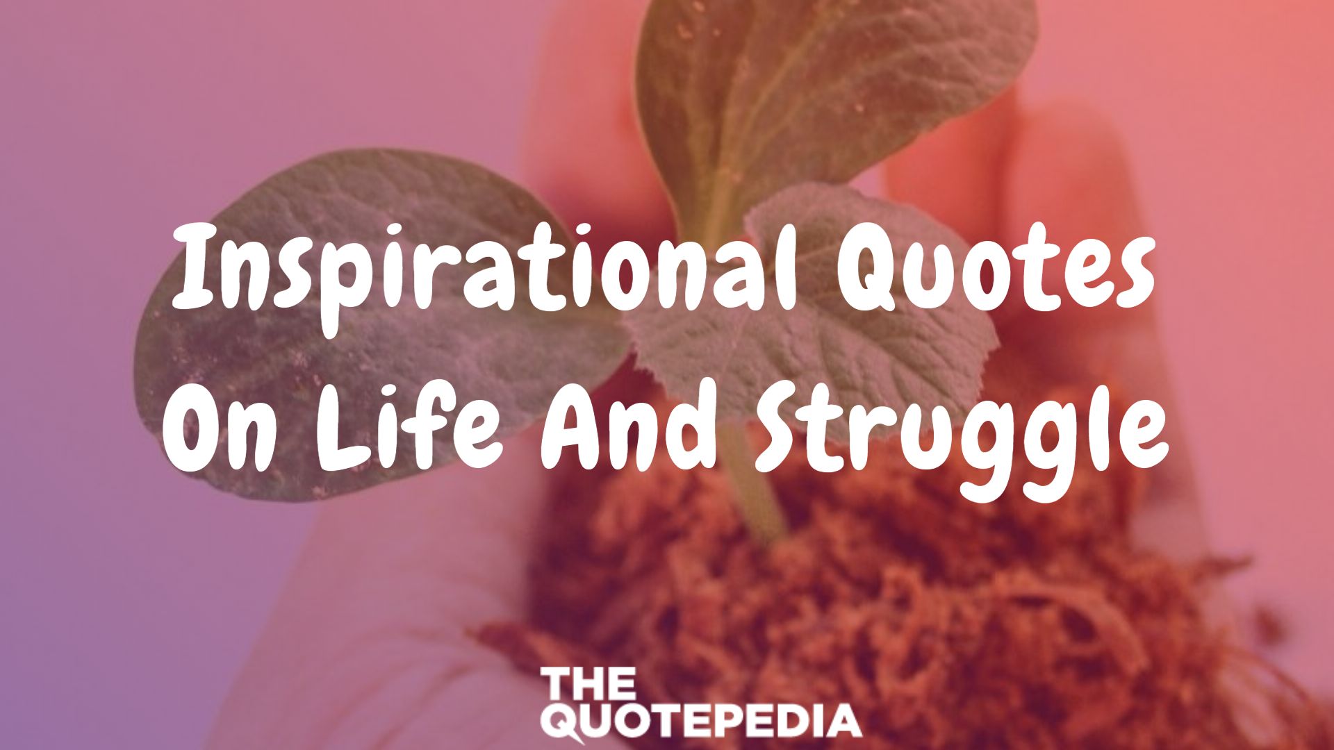 Inspirational Quotes About Life And Struggle