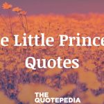 The Little Princess Quotes