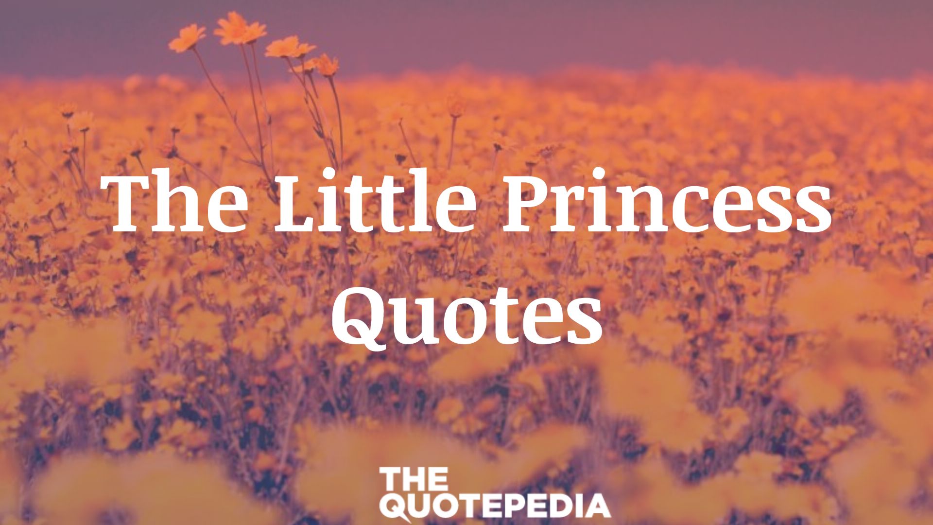 The Little Princess Quotes