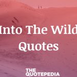 Into The Wild Quotes
