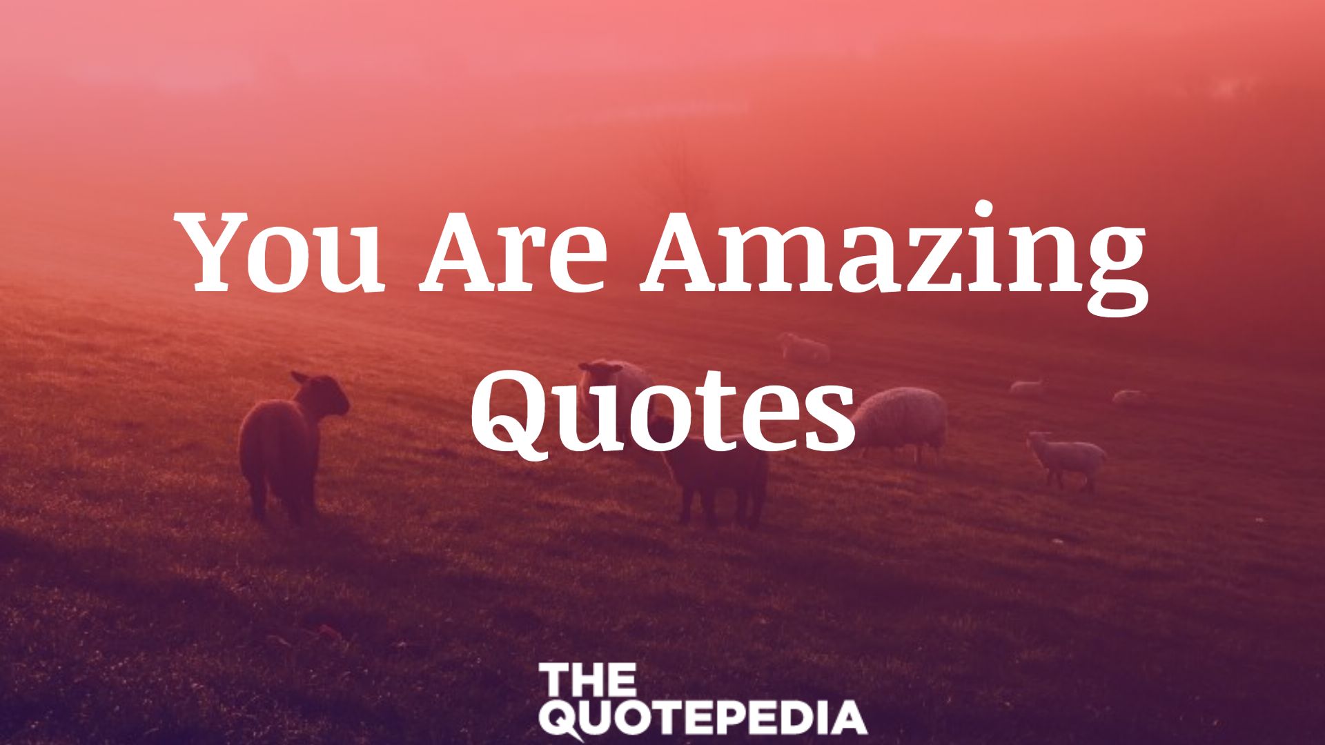You Are Amazing Quotes