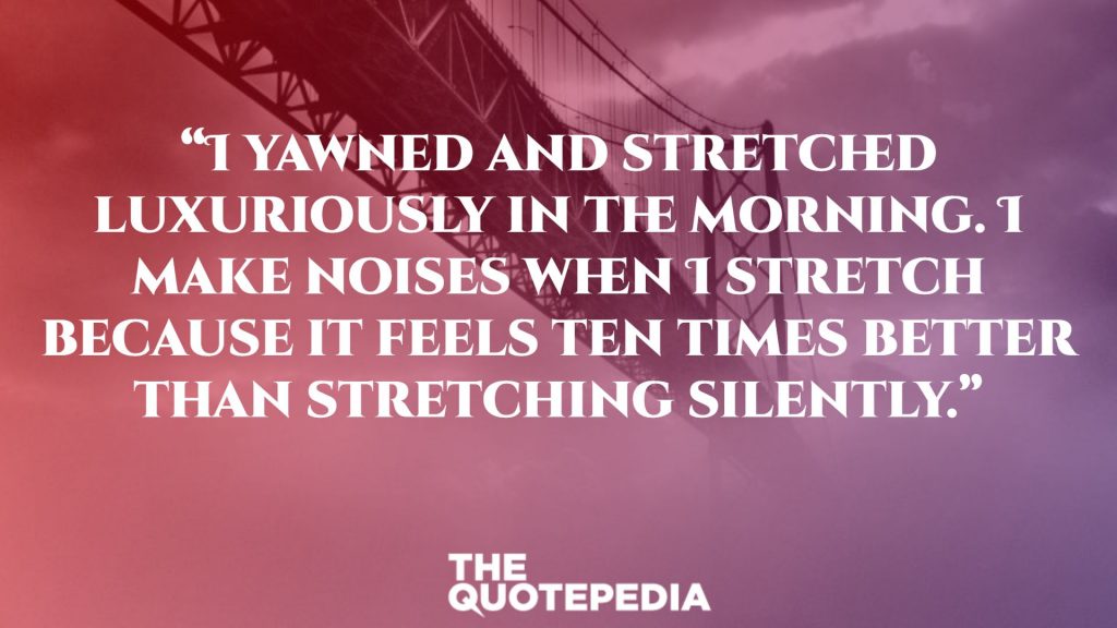“I yawned and stretched luxuriously in the morning. I make noises when I stretch because it feels ten times better than stretching silently.”
