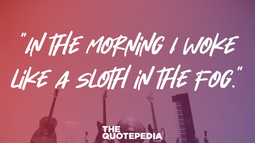 “In the morning I woke like a sloth in the fog.”