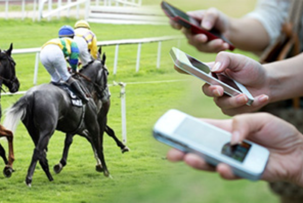 Follow These Tips To Take Your Horse Race Betting to the Next Level