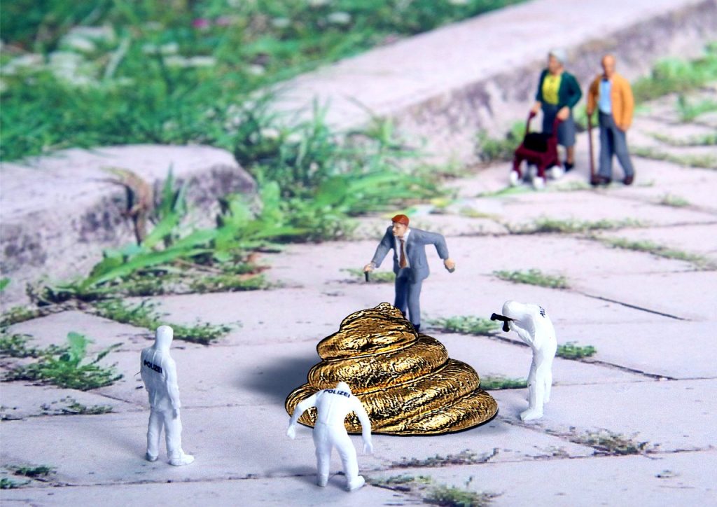 What Does Dreaming About Poop Mean?