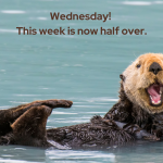 wednesday meme