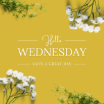 Top 14 Wednesday Quotes to Keep You Motivated on Hump Day